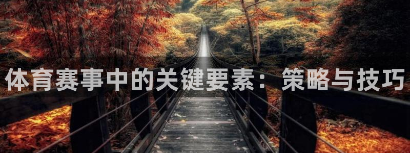 体育赛事中的关键要素：策略与技巧