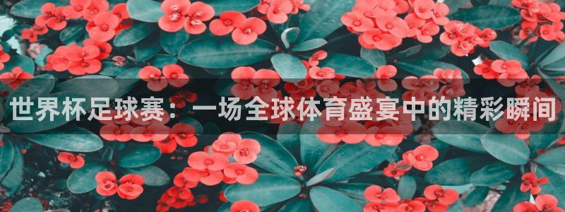 世界杯足球赛：一场全球体育盛宴中的精彩瞬间