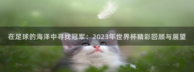 在足球的海洋中寻找冠军：2023年世界杯精彩回顾与展望