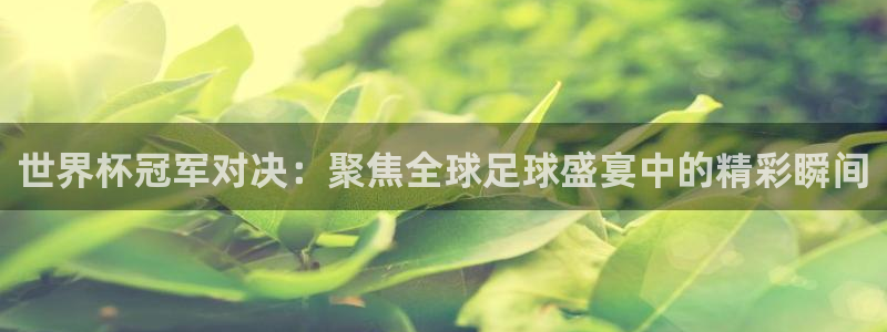 世界杯冠军对决：聚焦全球足球盛宴中的精彩瞬间
