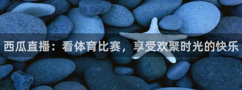 西瓜直播：看体育比赛，享受欢聚时光的快乐