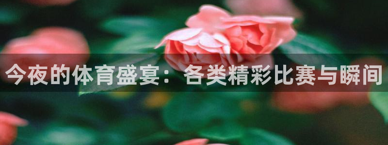 今夜的体育盛宴：各类精彩比赛与瞬间