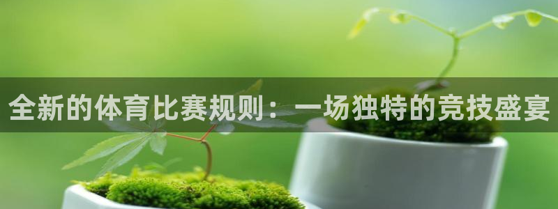 全新的体育比赛规则：一场独特的竞技盛宴