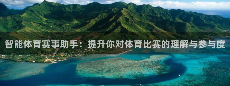 智能体育赛事助手：提升你对体育比赛的理解与参与度