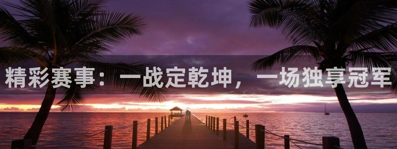 精彩赛事：一战定乾坤，一场独享冠军