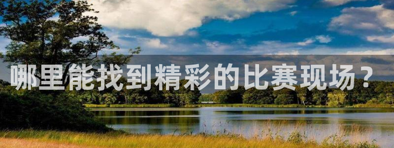 哪里能找到精彩的比赛现场？