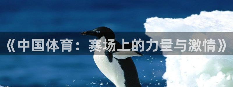 《中国体育：赛场上的力量与激情》
