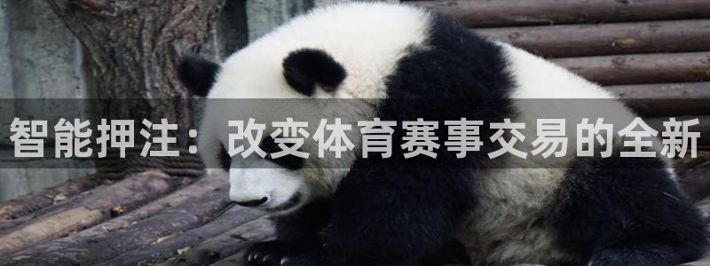 智能押注：改变体育赛事交易的全新