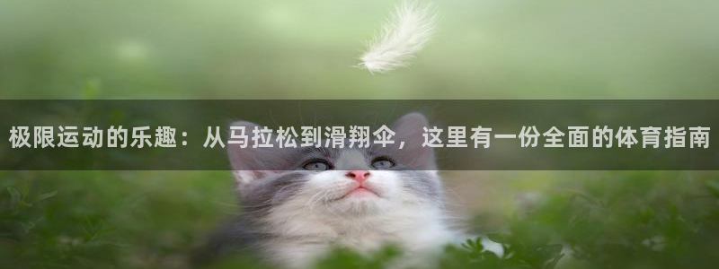 极限运动的乐趣：从马拉松到滑翔伞，这里有一份全面的体育指南
