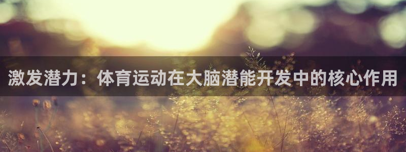 激发潜力：体育运动在大脑潜能开发中的核心作用