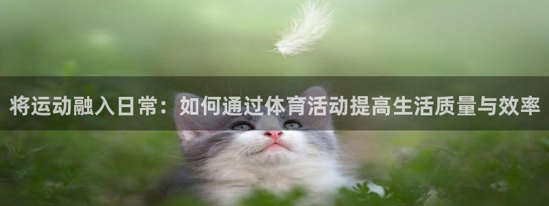 将运动融入日常：如何通过体育活动提高生活质量与效率