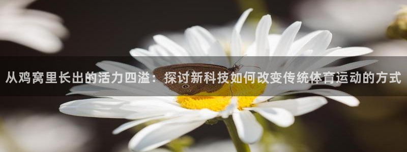 从鸡窝里长出的活力四溢：探讨新科技如何改变传统体育运动的方式