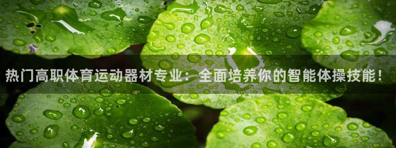 热门高职体育运动器材专业：全面培养你的智能体操技能！