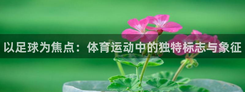 以足球为焦点：体育运动中的独特标志与象征