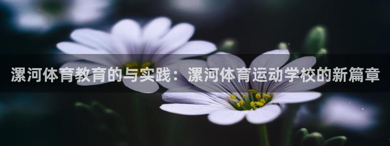 漯河体育教育的与实践：漯河体育运动学校的新篇章