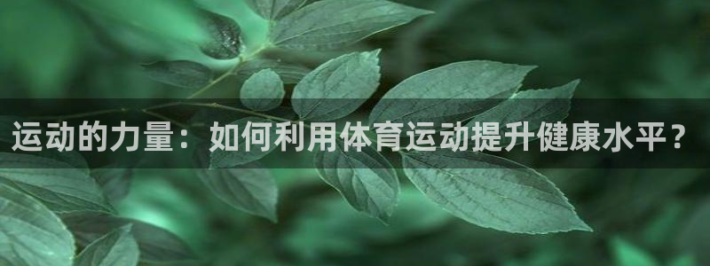 运动的力量：如何利用体育运动提升健康水平？