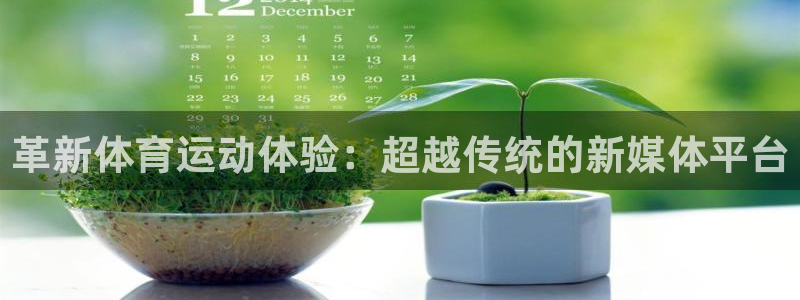 革新体育运动体验：超越传统的新媒体平台