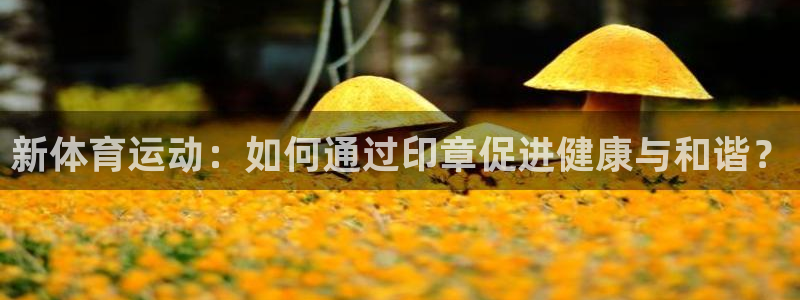 新体育运动：如何通过印章促进健康与和谐？