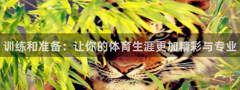 训练和准备：让你的体育生涯更加精彩与专业