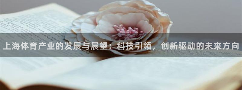上海体育产业的发展与展望：科技引领，创新驱动的未来方向